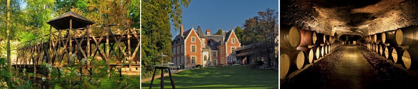 Clos Lucé - vin.jpg